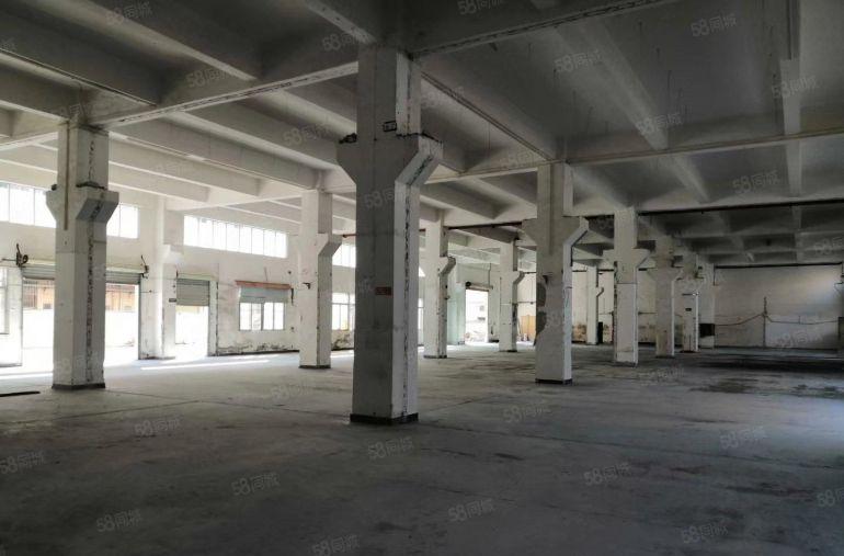 公明一楼厂房出租，450平一3000平（原房东直租）