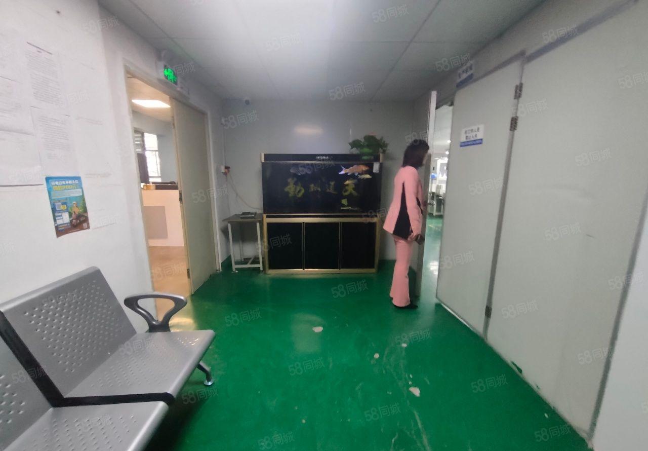 楼村大型工业园新出精装修厂房700平带无尘车间