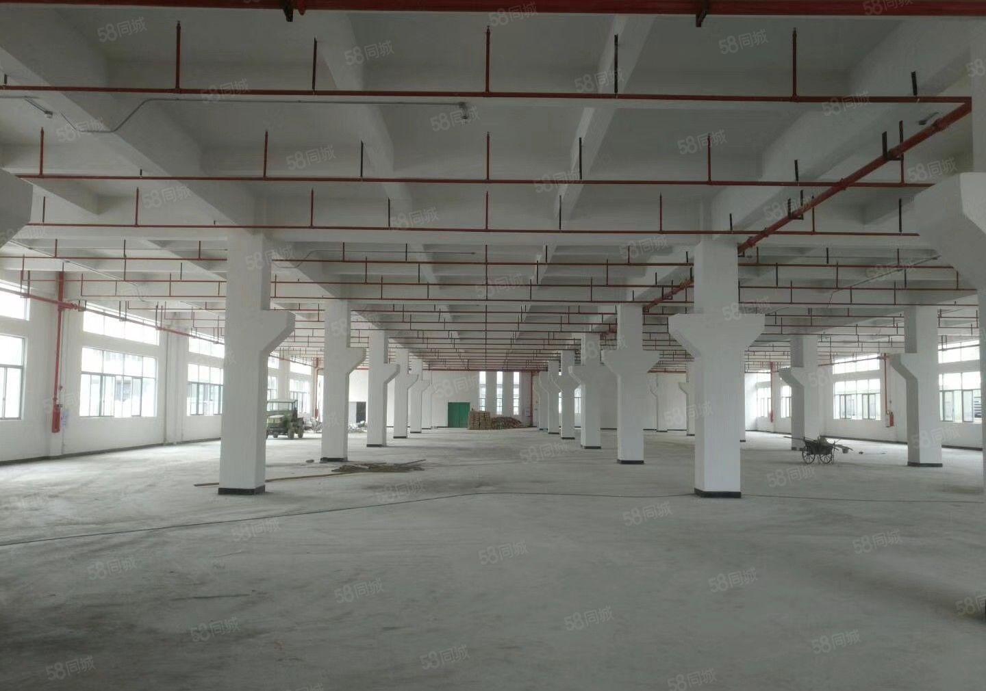 光明新区汽车站附近原房东红本厂房8800平招租