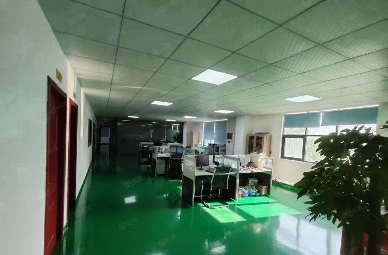 光明300至5000平方精装修厂房办公室仓库电商红本出租