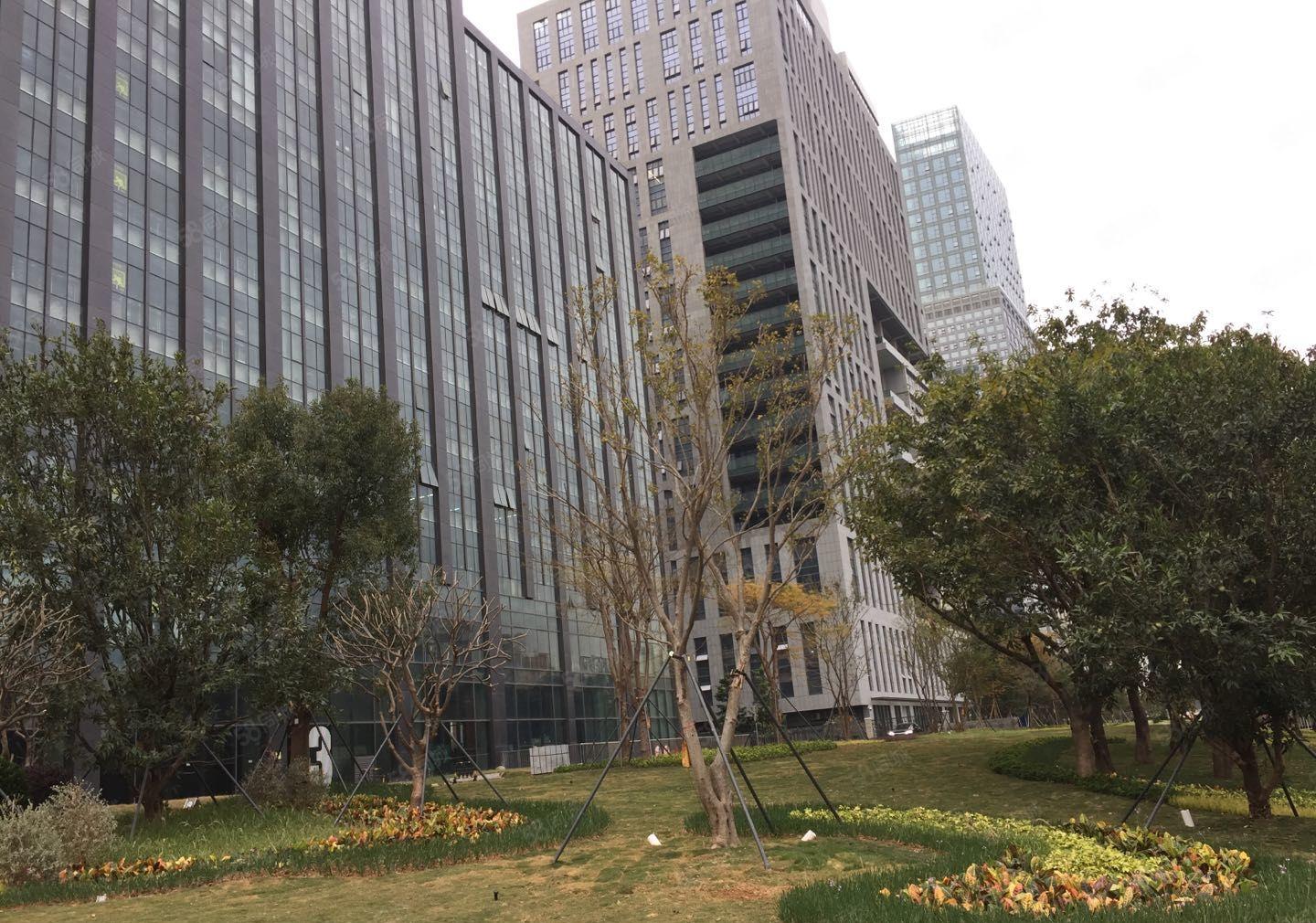 公明研发办公厂房出租，免租6个月政府重点项目150~2500