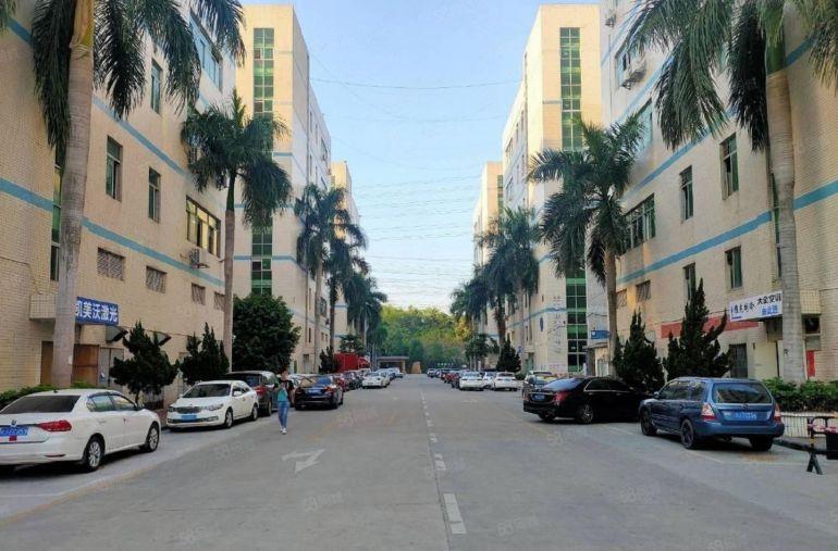 光明厂房出租带装修5000平厂房出租可分租300平起仓库出租