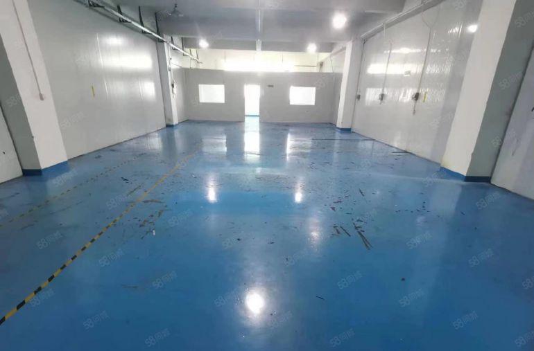 公明李松朗炮台路旁小厂房出租380平车间全新地平漆，好招工