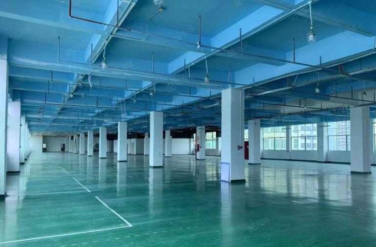 公明上村重工业厂房3600平带消防喷淋可分400平园区已电改