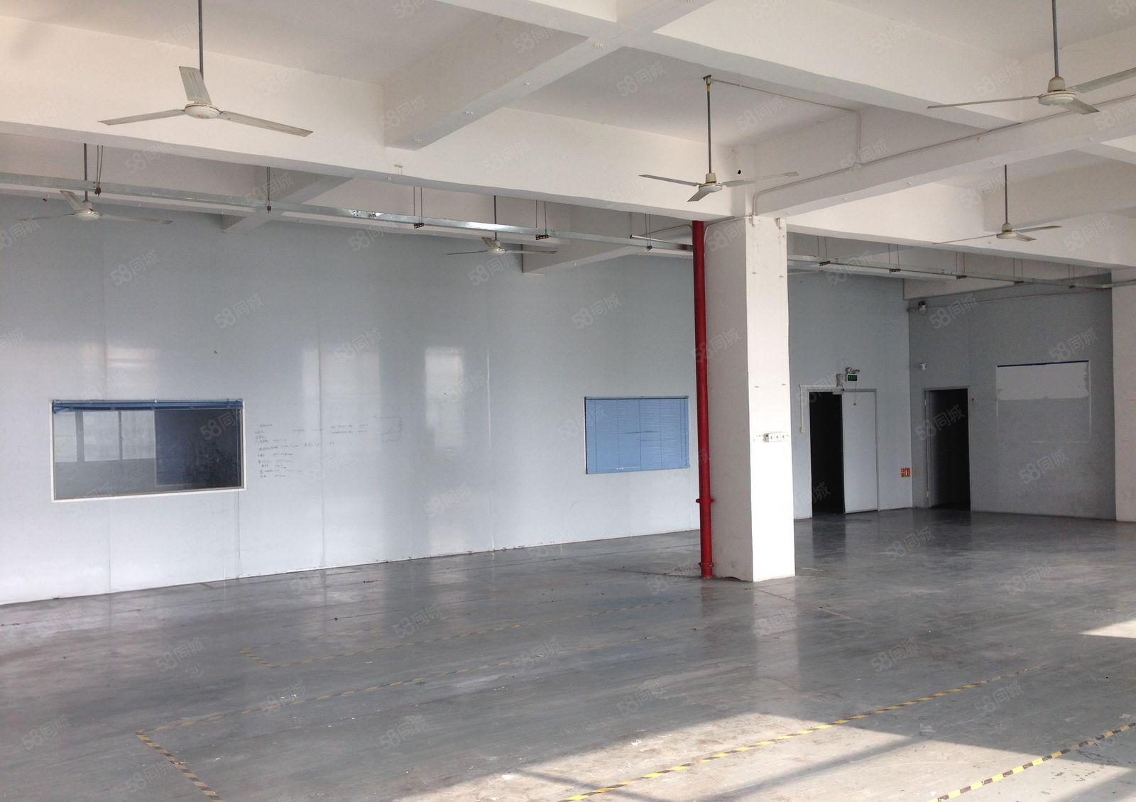 公明楼村1000平米工业厂房业主直租，价格可面谈