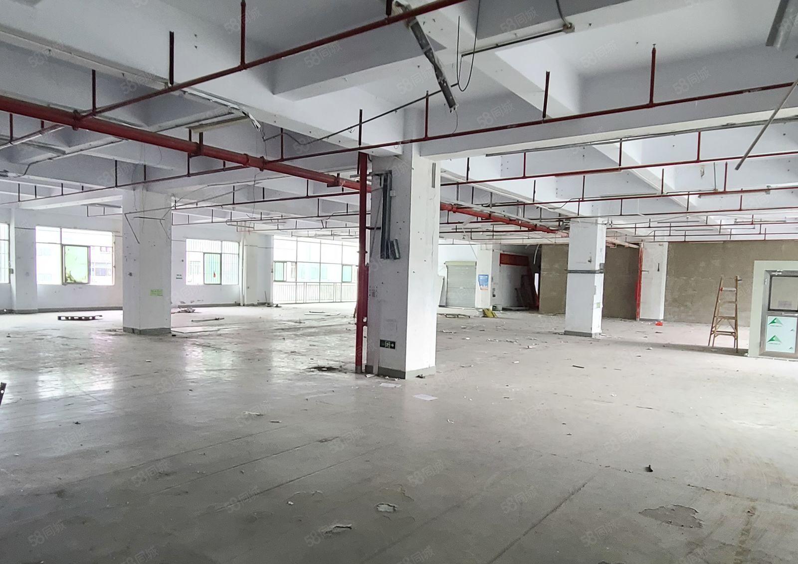 光明长圳原房东红本厂房实际面积租950平