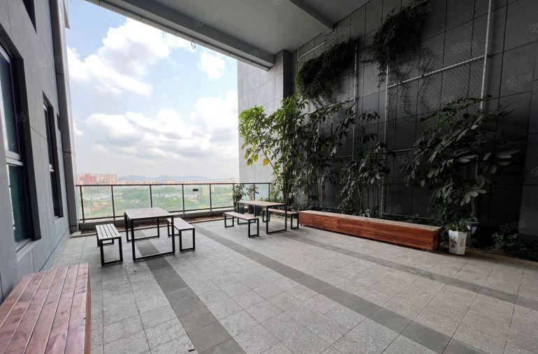 光明中心甲级写字楼现成直播总部390平 带景观阳台