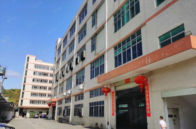 公明楼村地铁附近独院1500平招租一楼高6米带精装修可分租