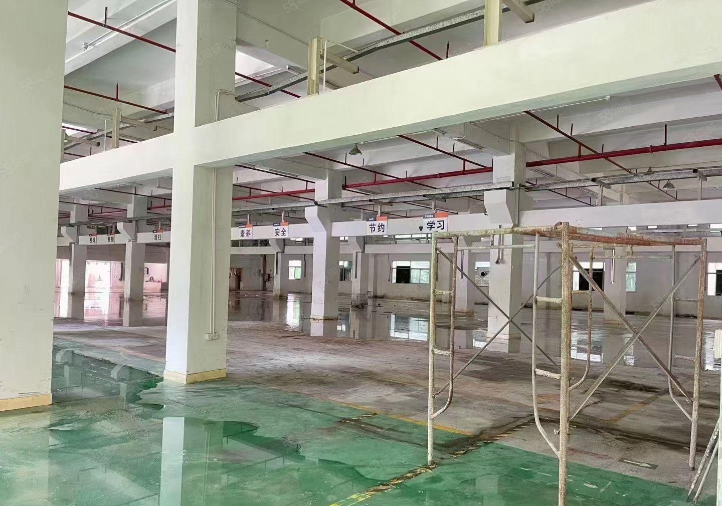 23元起光明田寮精装修500平至20000平红本厂房仓库出租