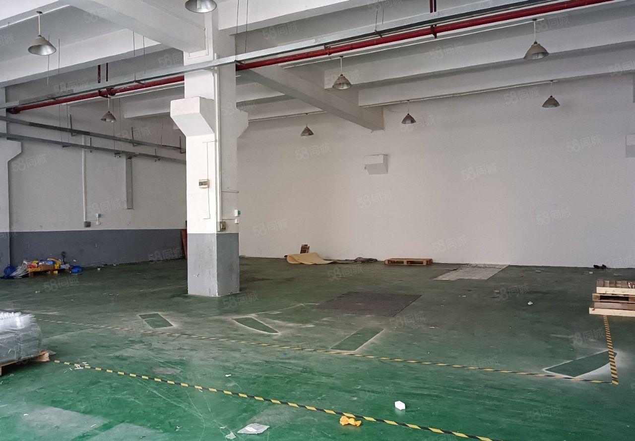 楼村新出一楼750平方，高度6米，大园区形象好，带办公室