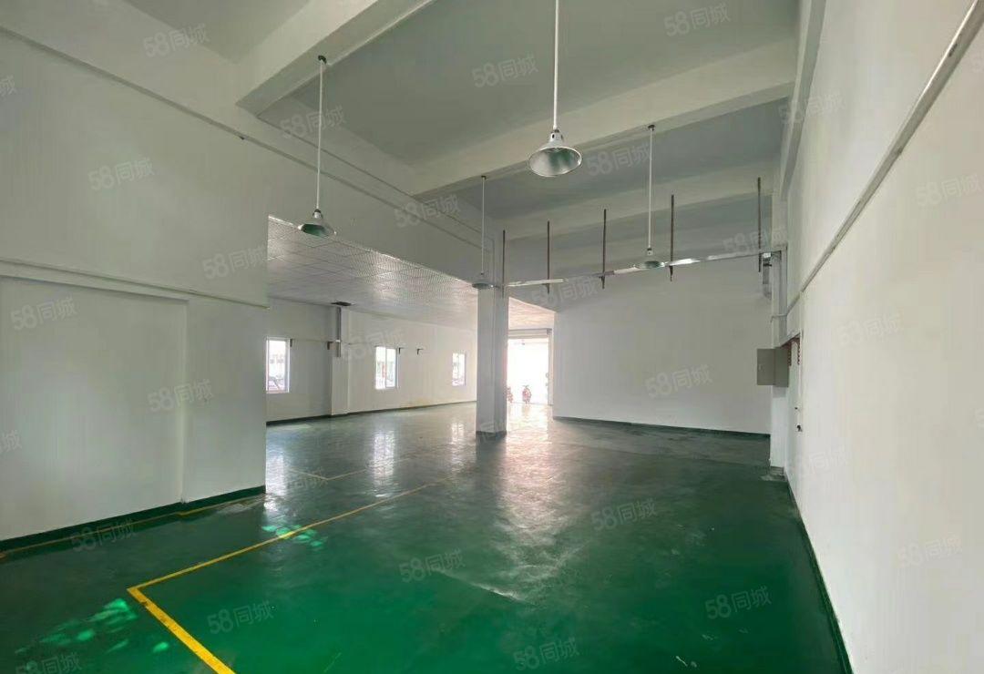 公明玉律一楼450平方出租，带办公室，高度5.5米