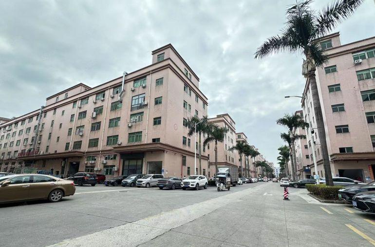 公明田寮松柏路边一楼600平，200平起分，租金24