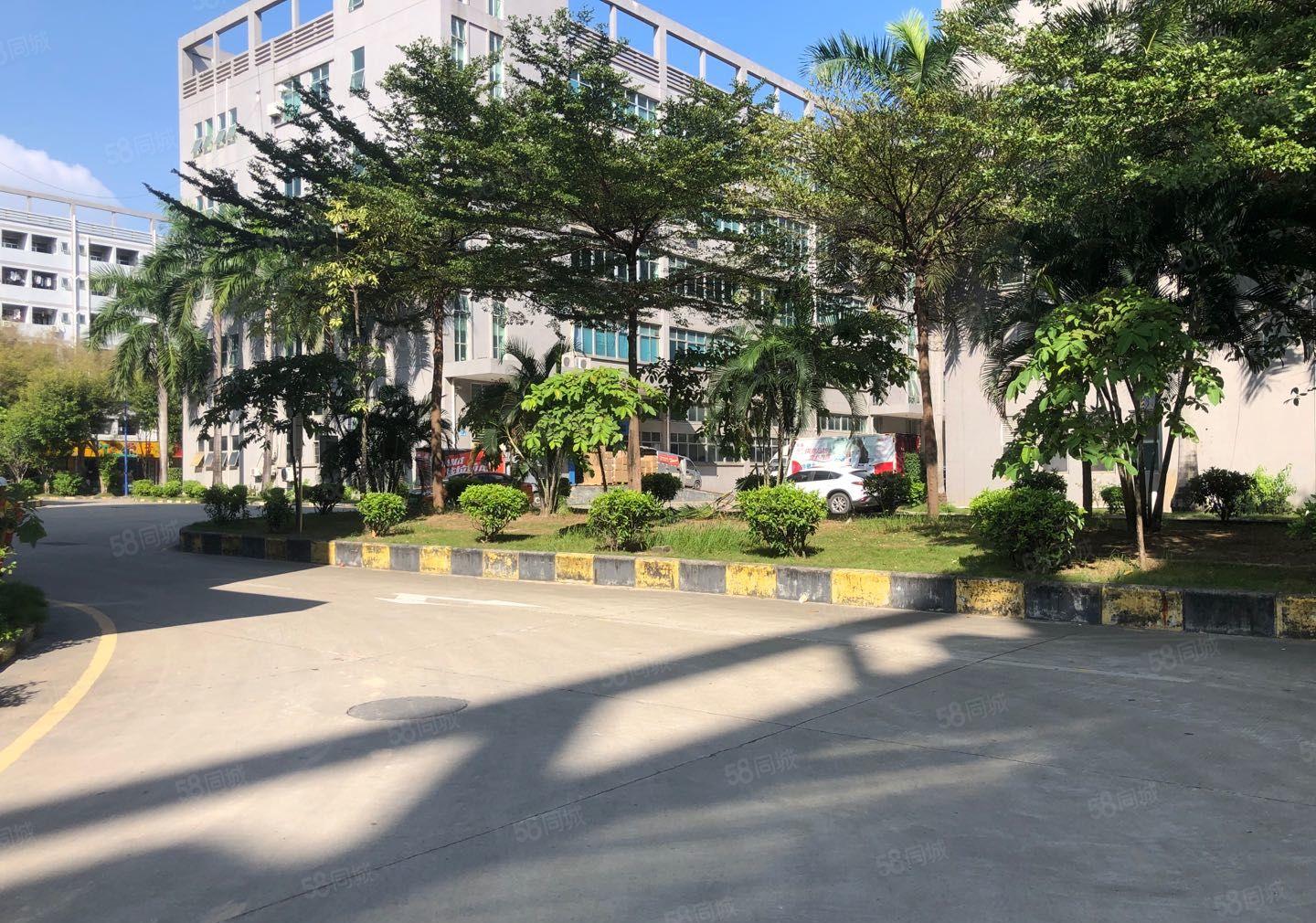 一手房东直租光明楼上3000平红本厂房可办环评享政策补贴