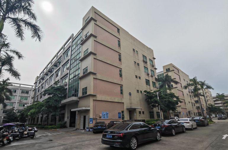 公明大型园区厂房出租，公明一手房东厂房出租，公明村委厂房出租