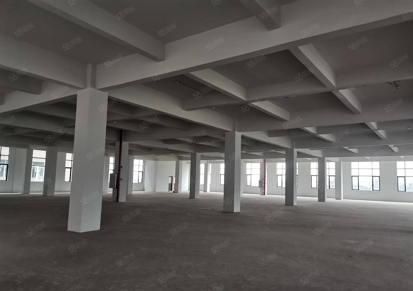 年前超长免租期生产办公研发高新补贴高速口易招工空地大停车便利