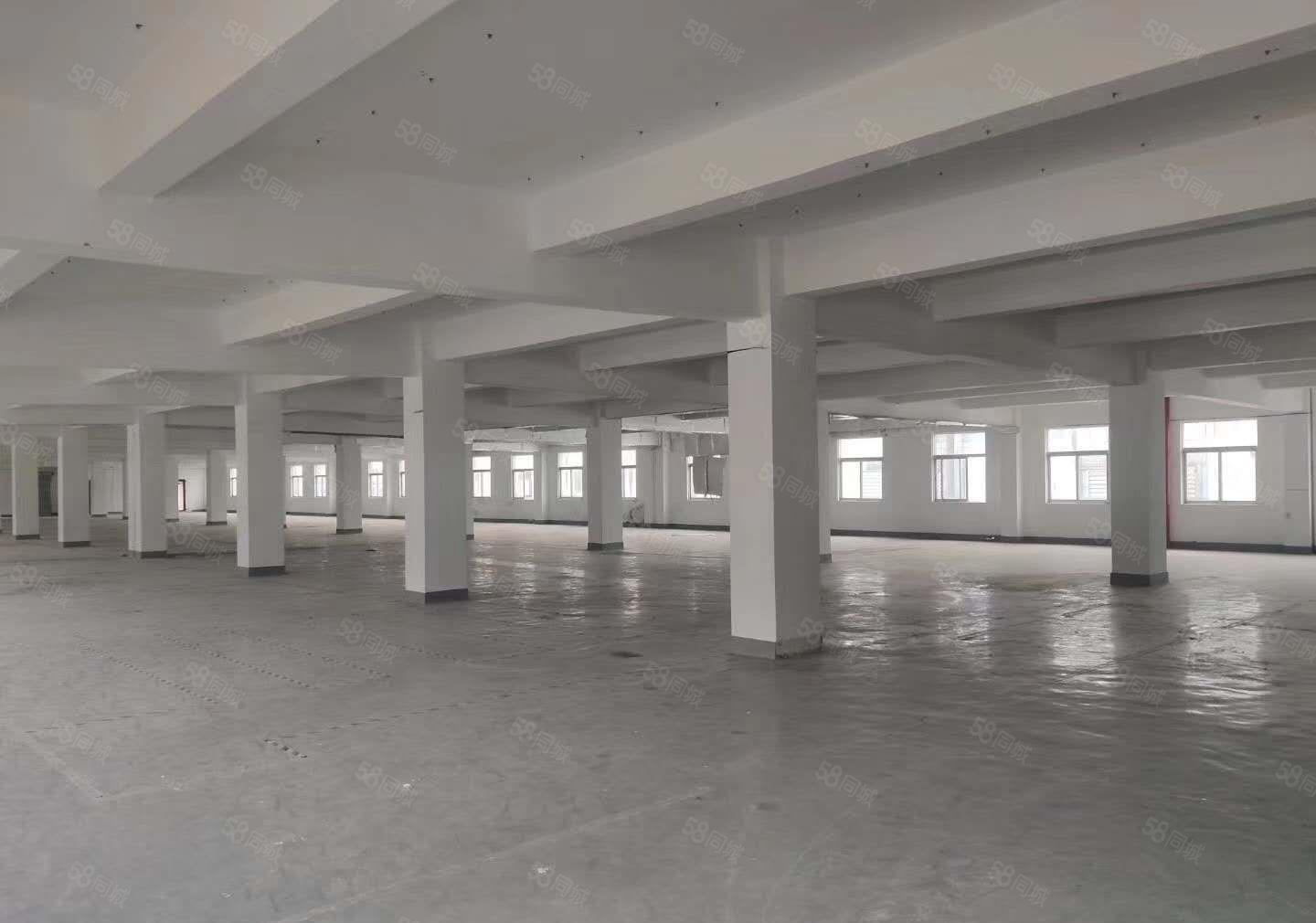 光明区公明独院厂房出租，面积8000平方，空地大，一楼6米高