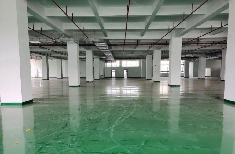 光明公明田寮原房东厂房出租5000平可分租1000平500平