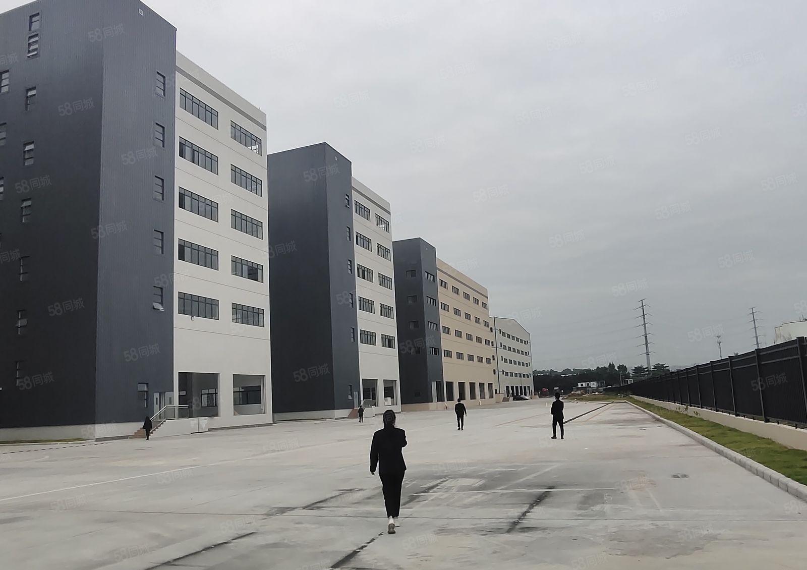 光明合水口500平方起分租新出独院8万平方厂房仓库出租，