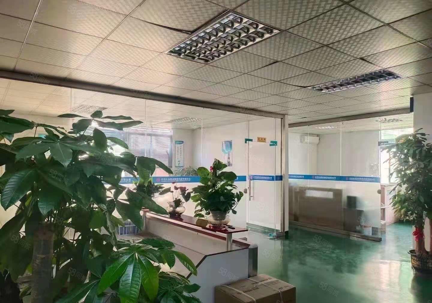 光明靓盘楼上1400平精装厂房出租园区形象好，配套齐全好招工