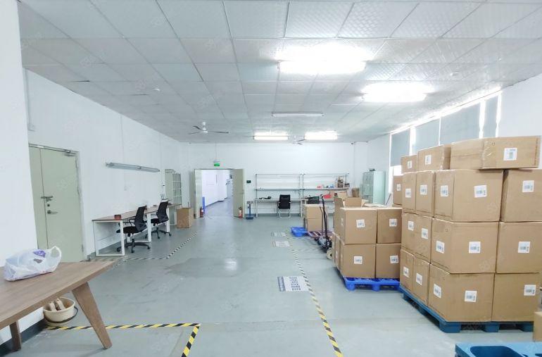 光明厂房出租高新科技园6000平独栋精装修可办补贴红本大小分