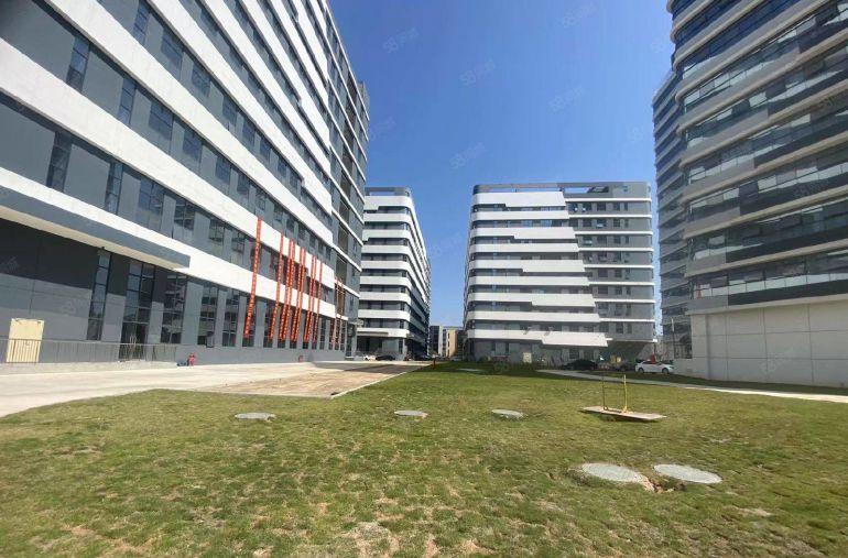 光明田寮高速出口国资委红本厂房单层2500平方出租招租分租