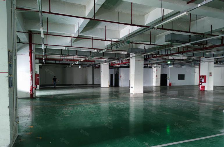 光明区高新区红本重工业厂房2300平出租精装修原房东无公摊