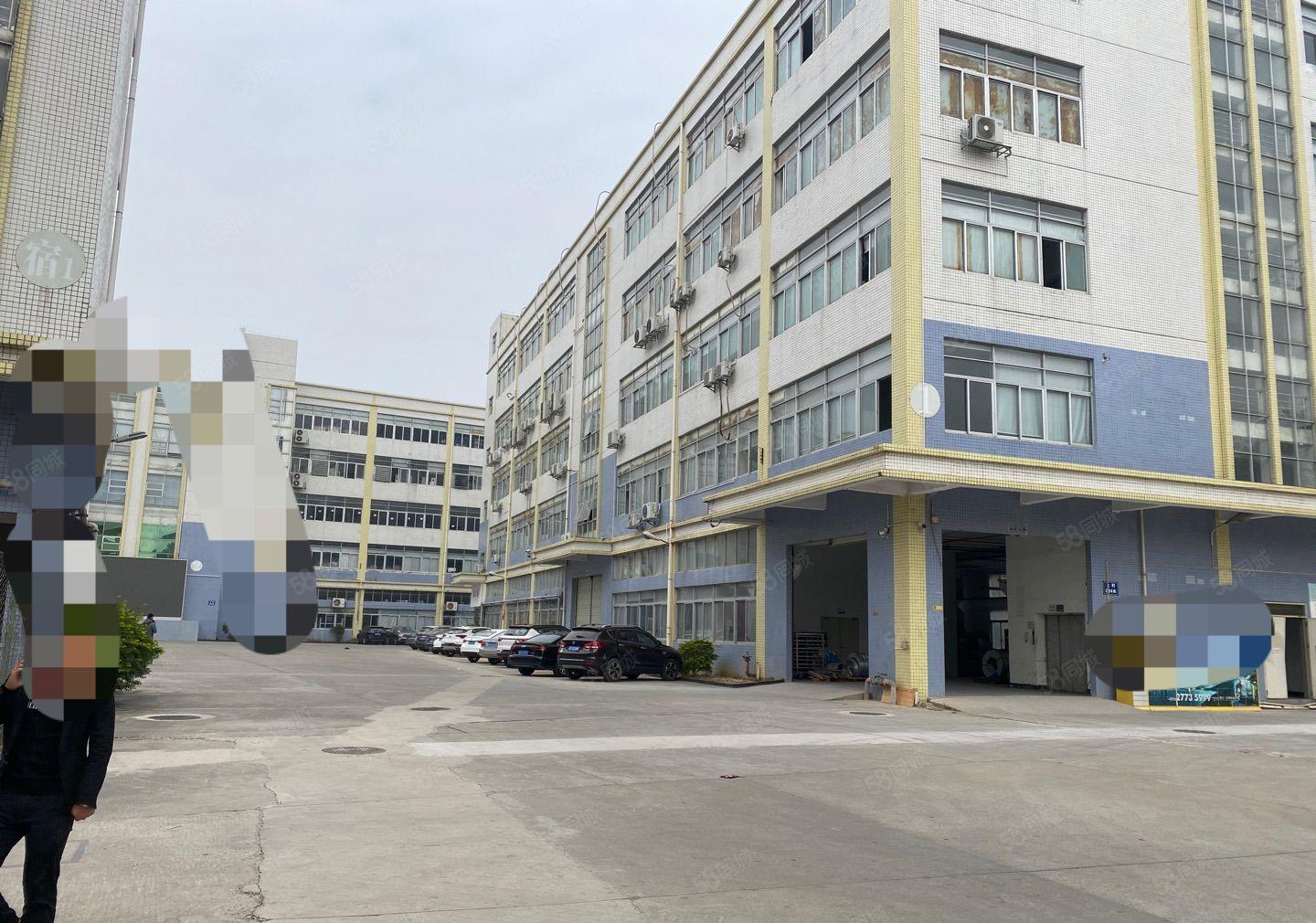 公明上村厂房出租，一楼560平，楼上1240平米，实用面积