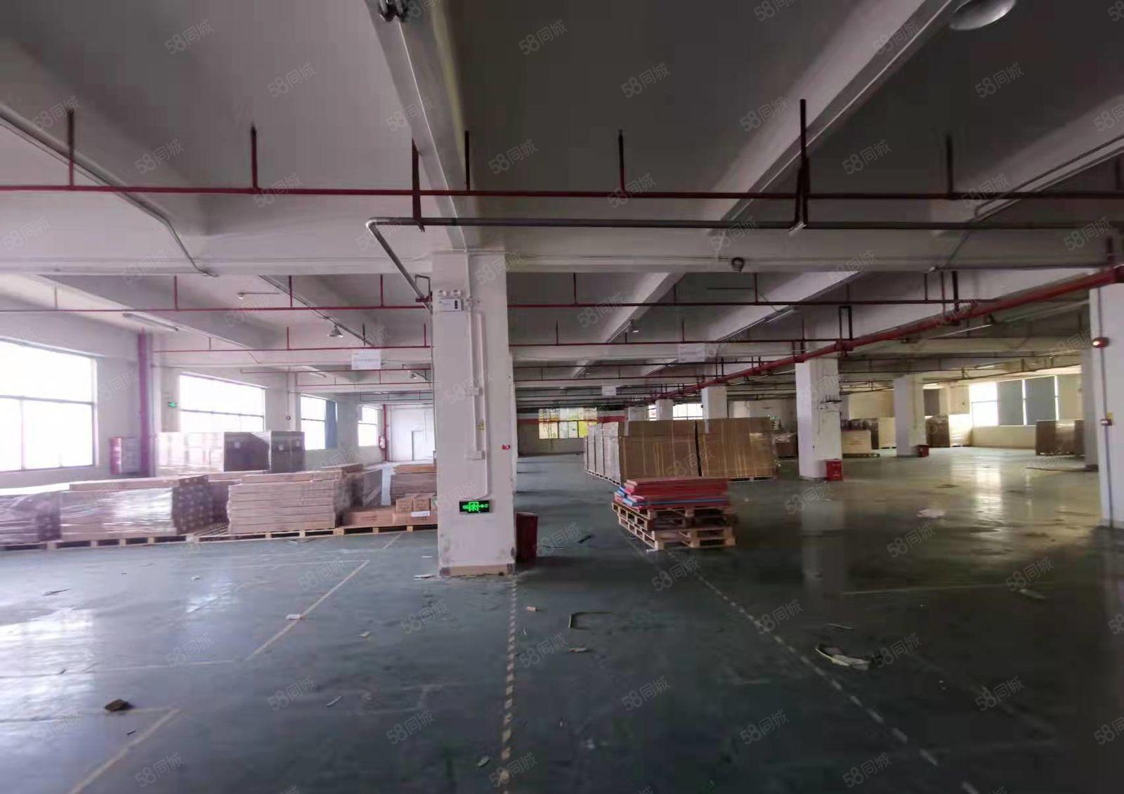 公明特殊行业厂房出租，可做纸箱，电池，仓库400~2900平