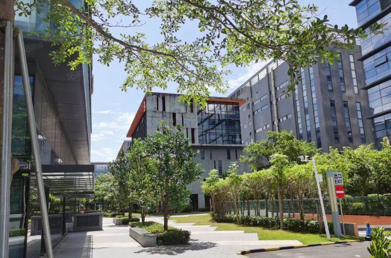 光明厂房研发办公出租地铁口3000高新园分租招租红本原房东