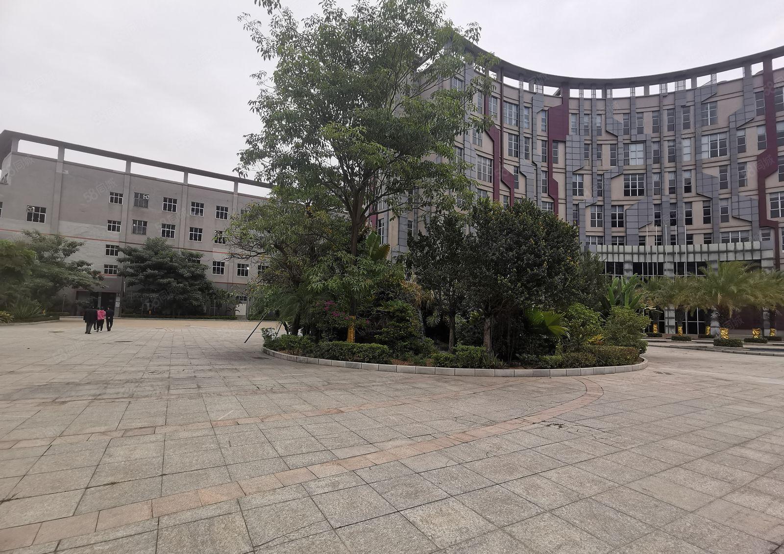 观澜章阁原房东红本整栋标准厂房7000平一整层出租带卸货平台