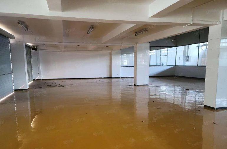 公明标准一楼厂房，仓库出租（2500平高6米高带牛角）可分租