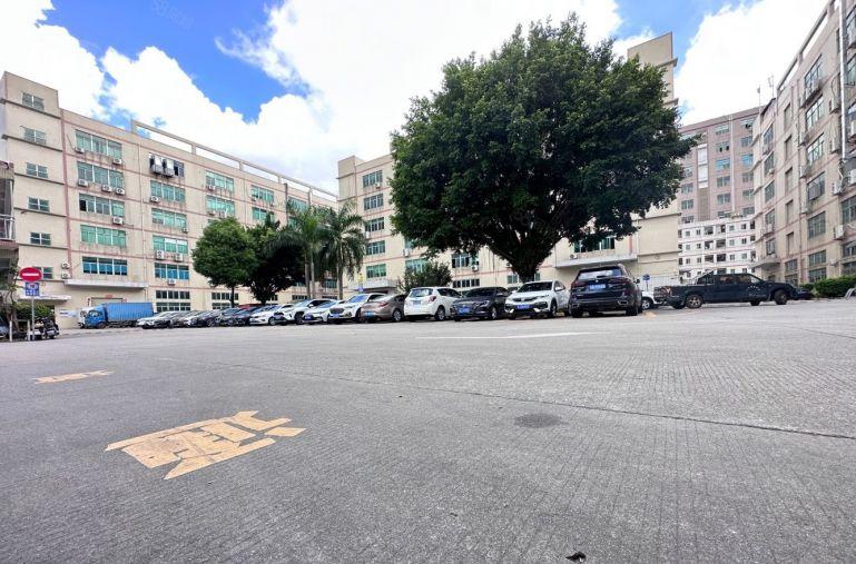 光明原房东1000平厂房出租 园区空地大停车位充足 可分租