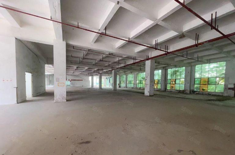 光明汇业科技园仓库厂房低价出租5000平500平起租仓库出租