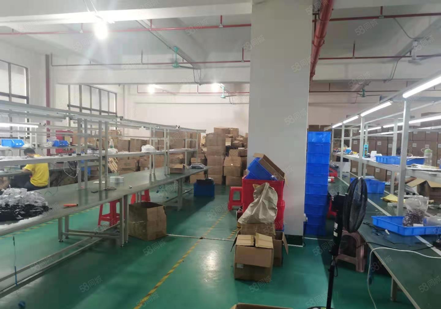 公明精装厂房出租，1100平，3吨货梯（原房东厂房合期限长）