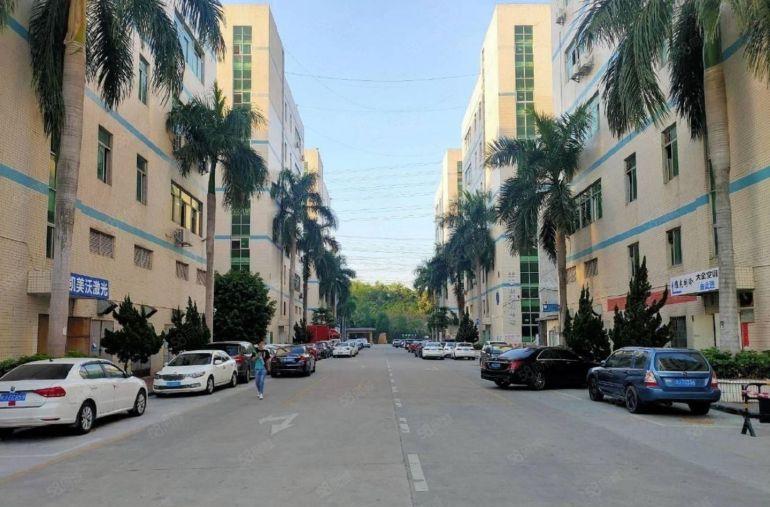 光明凤凰城原房东厂房出租5000平 500平起分 园区形象好