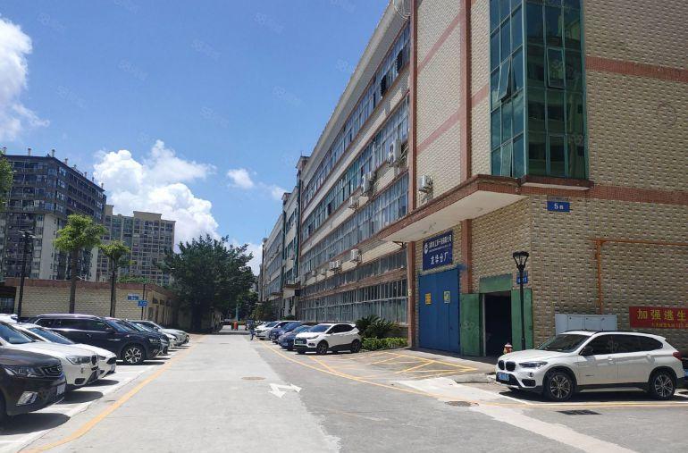 公明标准层2000平厂房出租 可分租工业园低价一楼仓库出租