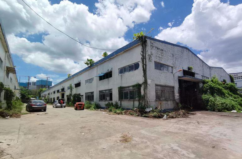 光明区零押金5000平钢构滴水10米超大空地不限行业出租分租