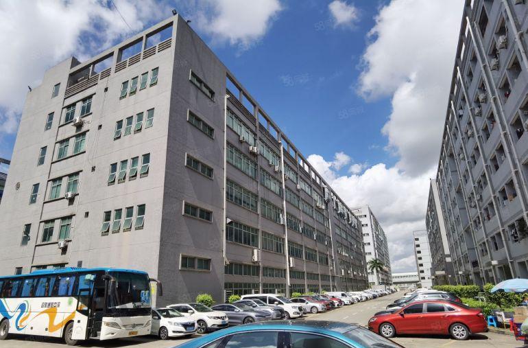 光明田寮原房东独栋出租合同可签10年租金26元面积5万平分租