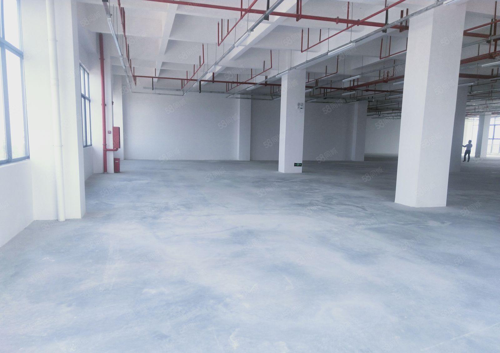 光明招商局高新园区38000平方厂房出租300平方起分租