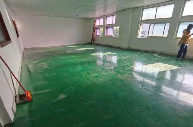 公明李松朗厂房（240平实际面积出租，精装修，欢迎老板详询）