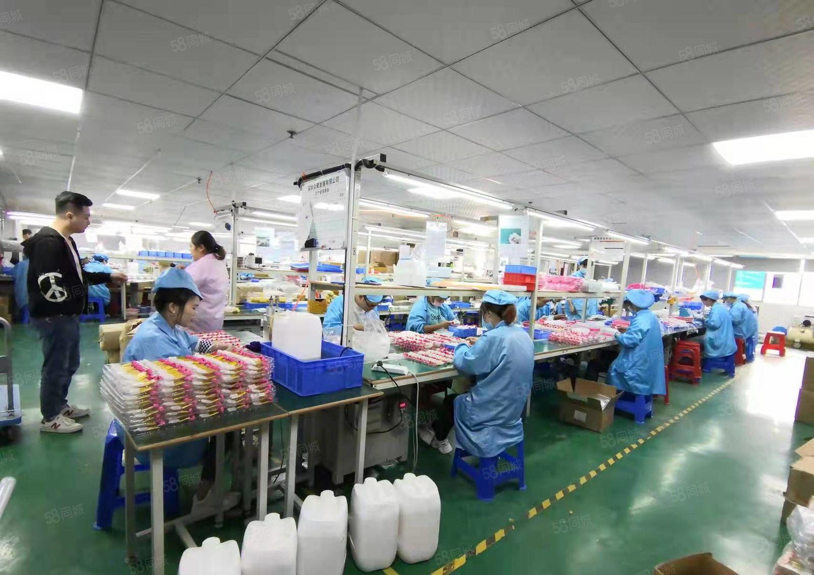 公明楼村聚宝工业园无尘车间厂房出租（700平精装，无转让费）