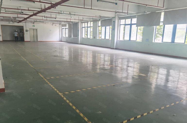 光明村委原房东厂房出租 1000平至3000平大小面积都有