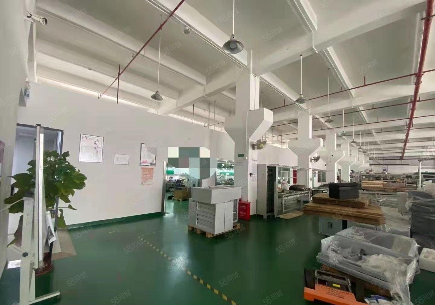 东坑新出原房东独门独院带精装修标准厂房2000平