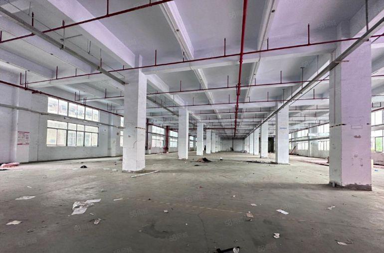 特价30元！公明上村独院厂房一楼2100平，使用率高