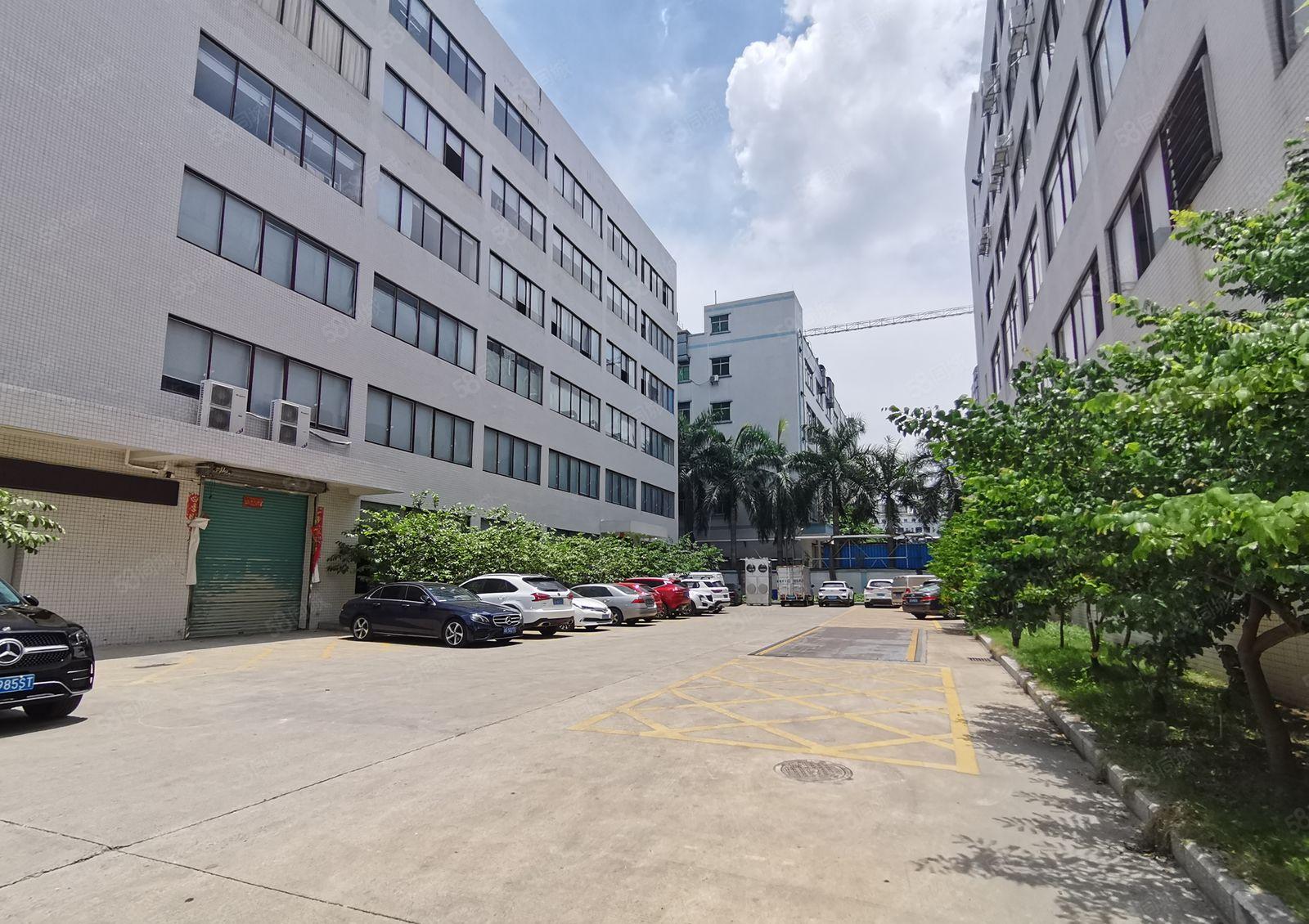 （出租）光明2000平精装修厂房出租超大空地200平起分租