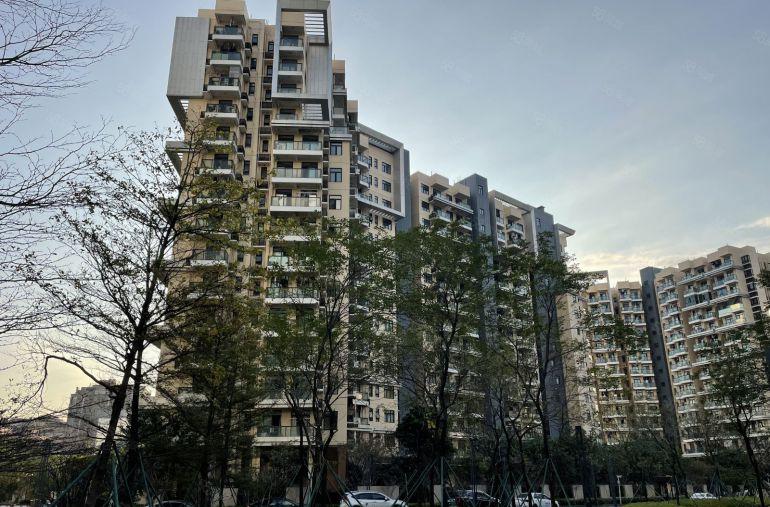 光明国企新建红本楼上9000平，可分租，有补贴，红本面积出租