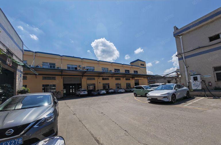 光明楼村公常路主干道边厂房一楼2300平带牛角全新地坪可分租