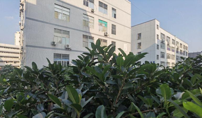 独门独院12500平一楼高6米不限行业,深圳光明公明厂房出租