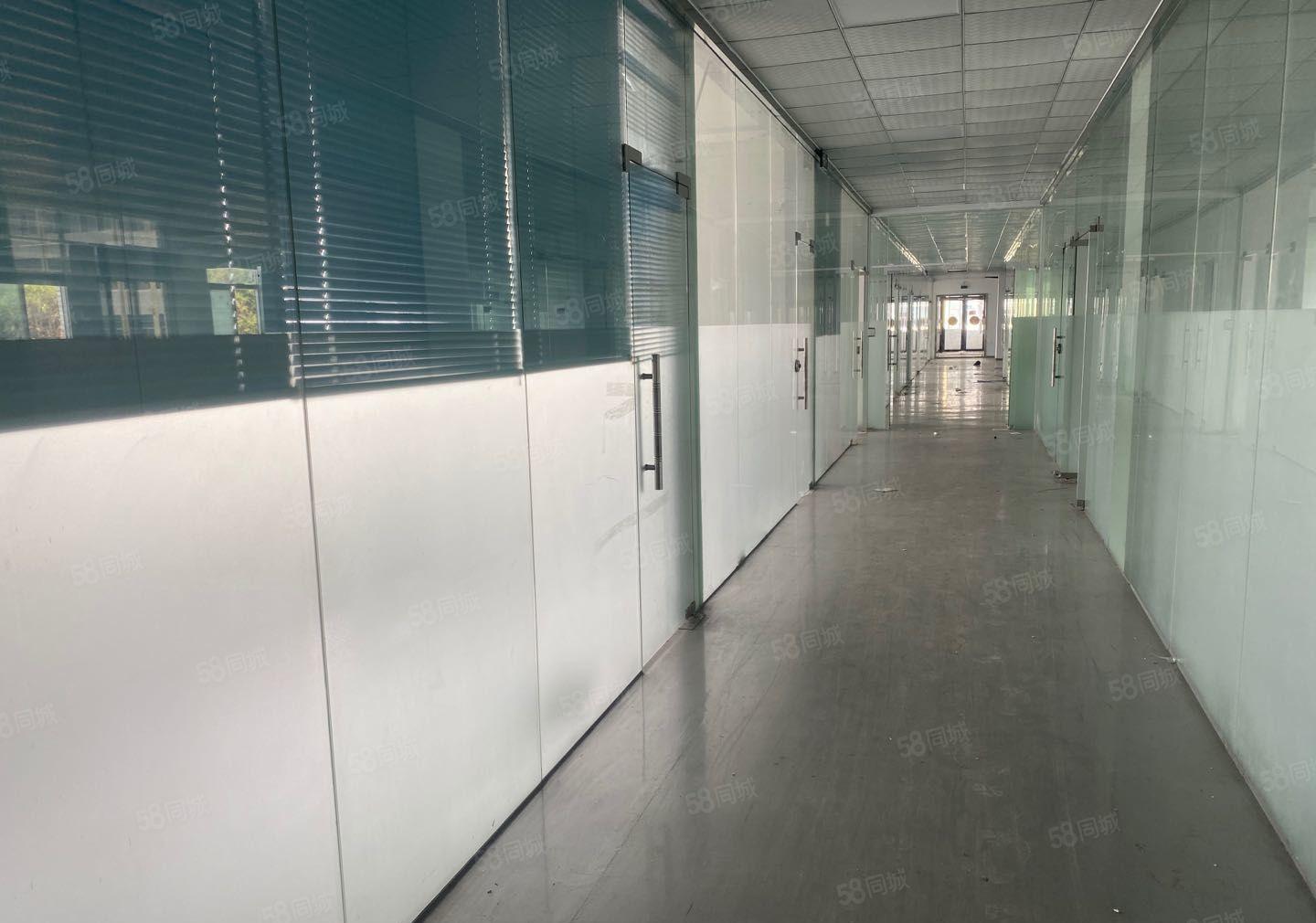 公明上村厂房出租，一楼560平，楼上1240平米，实用面积