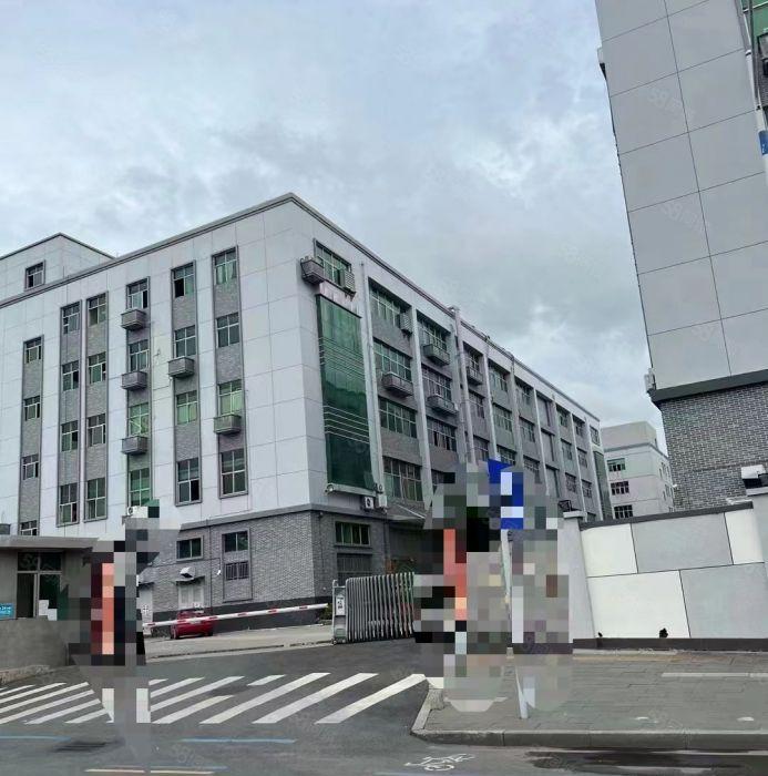 光明公明楼村，大型园区厂房，仓库出租（3100平一整层）